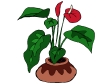 flamingo flower.gif